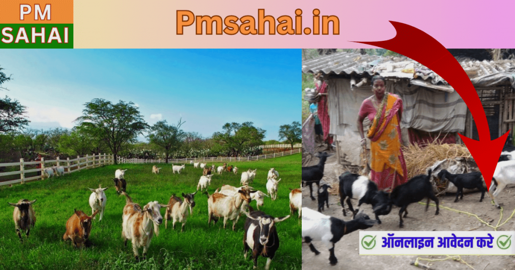 Goat Farming Loan Yojana 2025